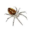 Spider Cameo Amber Sterling Silver Pin