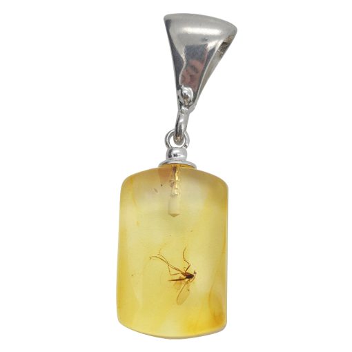 Natural Amber Pendant With Insects