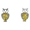 Owl Sterling Silver Green Amber Stud Earrings