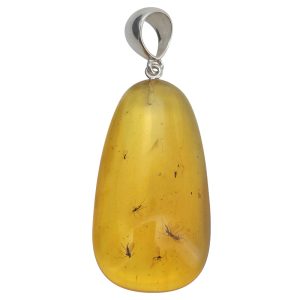 Baltic Amber Pendant With Insects