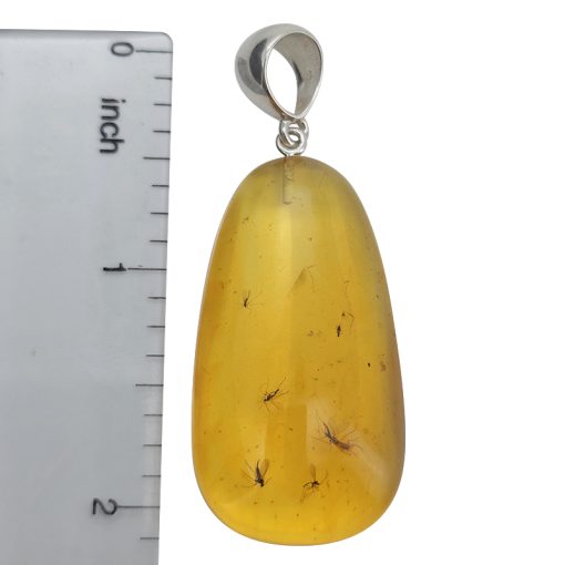 Baltic Amber Pendant With Insects - Image 5