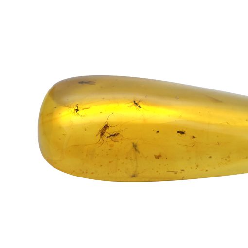 Baltic Amber Pendant With Insects - Image 4
