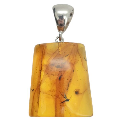 Amber With Insects Pendant