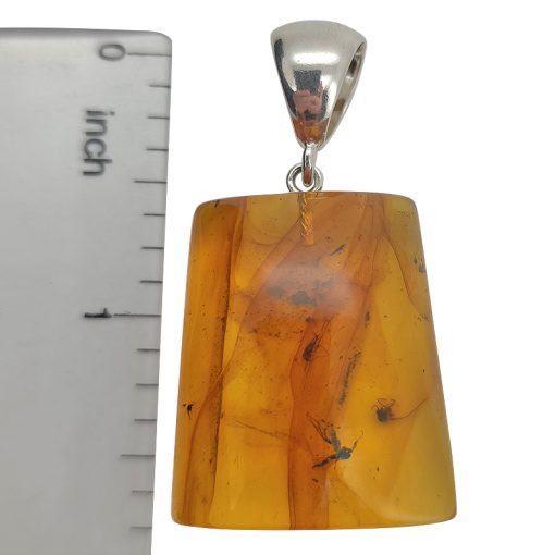 Amber With Insects Pendant - Image 5