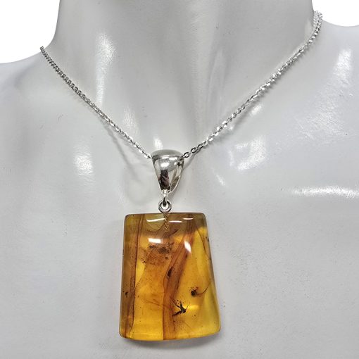 Amber With Insects Pendant - Image 2