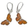 Cognac Amber Sterling Silver Earrings On Hooks