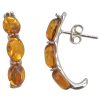 Cognac Amber Hoop Style Earrings