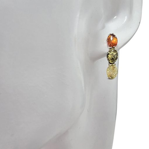 Multicolor Amber Hoop Style Earrings - Image 2